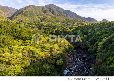 新綠色閃耀的山脈－近海阿爾卑斯的屋久島（春） 124108112
