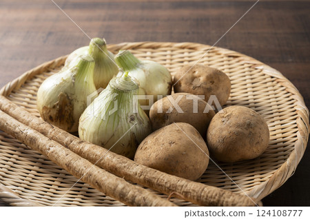 新洋蔥、新馬鈴薯和新牛蒡 124108777