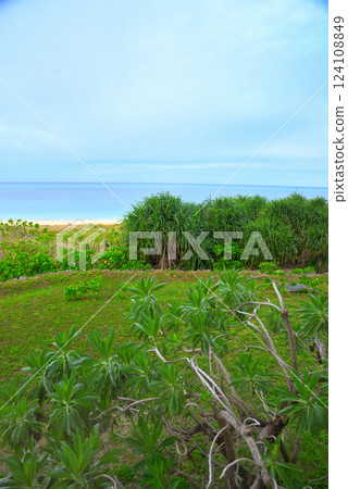 Okinawa Prefecture: Yomitan Village Beach 124108849