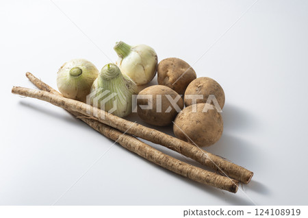 New onions, new potatoes, and new burdock New onions, new potatoes, and new burdock 124108919