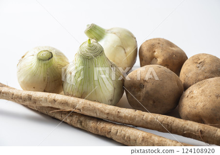 New onions, new potatoes, and new burdock 124108920