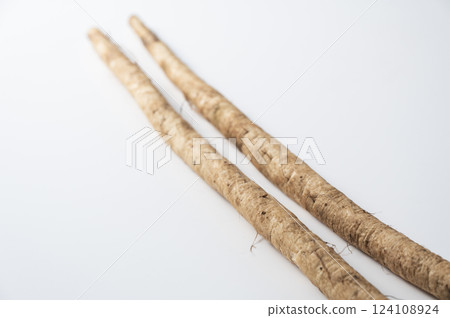 New burdock burdock 124108924