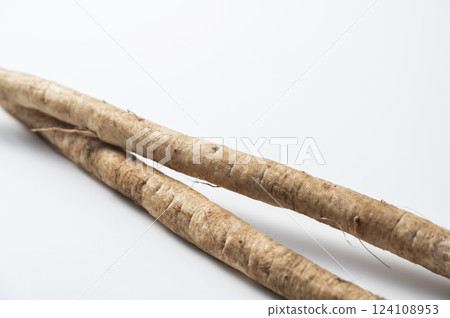 New burdock burdock New burdock burdock 124108953