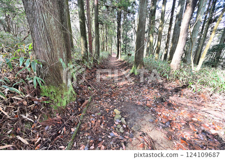 Tokugawa Road (Saigoku Okan Alternative Road) Maya - Current state near Somadani Pass 124109687
