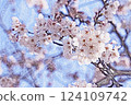 櫻花在藍天下 124109742