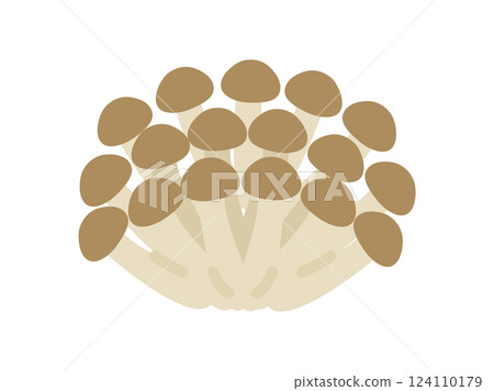 Bunashimeji 圖示說明 124110179