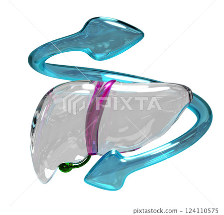 3d realistic human liver with arrow transparent isolated. check liver health, health love, world hepatitis day concept, 3d illustration render 3d realistic human liver with arrow transparent isolated. check liver health, health love, world hepatitis day concept, 3d illustration render 124110575