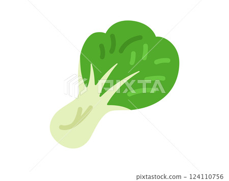 白菜圖示插圖 白菜圖示插圖 124110756