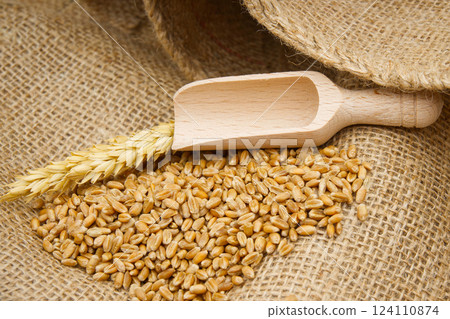 Wheat grain seeds and wooden scoop on hessian fabric Wheat grain seeds and wooden scoop on hessian fabric 124110874