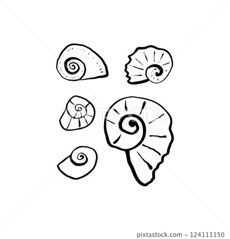 Hand drawn sea shells set in doodle sketchy style. Line art sea shell vector composition Hand drawn sea shells set in doodle sketchy style. Line art sea shell vector composition 124111150