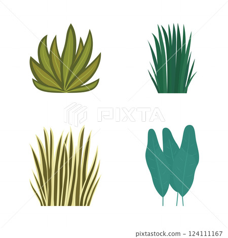 Elements Set of Fresh Tropical Leaves Foliage Grass Natural Plant in the Park Garden 124111167