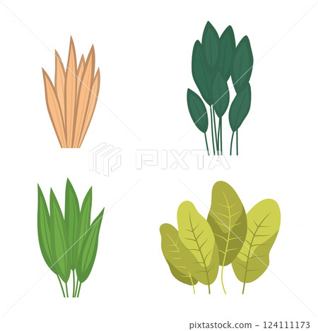 Elements Set of Fresh Tropical Leaves Foliage Grass Natural Plant in the Park Garden 124111173