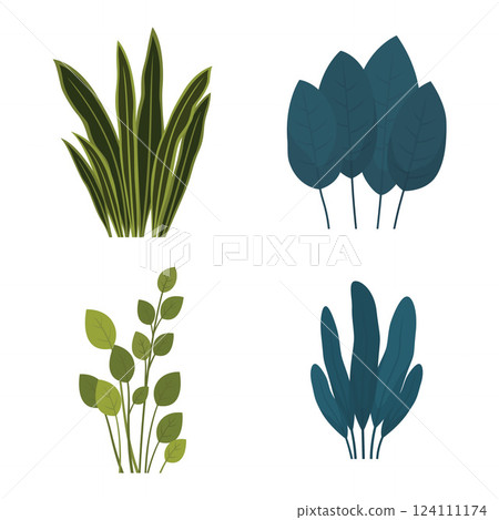 Elements Set of Fresh Tropical Leaves Foliage Grass Natural Plant in the Park Garden 124111174