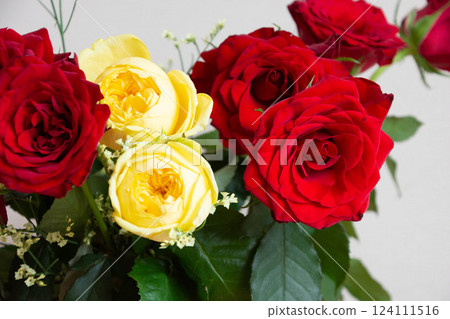 Red and yellow roses Red and yellow roses 124111516