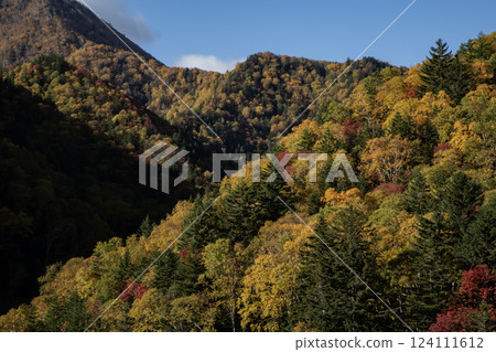 Autumn leaves of Mikuni Pass 124111612