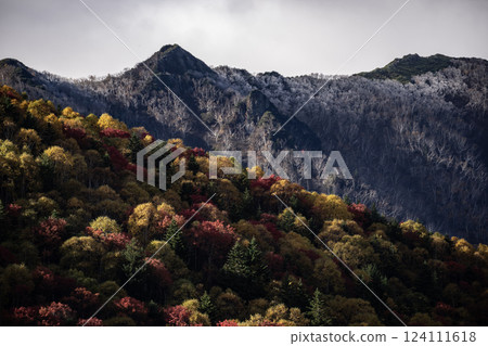 Autumn leaves of Mikuni Pass Autumn leaves of Mikuni Pass 124111618