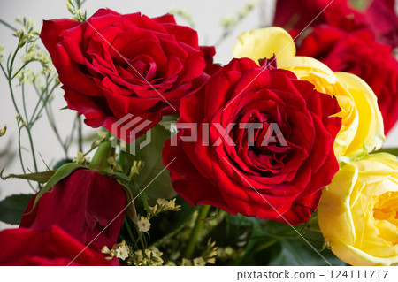 紅色和黃色的玫瑰 124111717