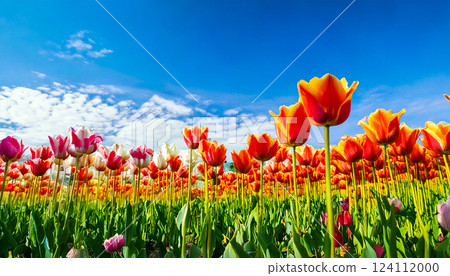 Tulip Spring AI Generation Background 124112000