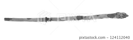 Asparagus hand-drawn food monochrome illustration 124112040