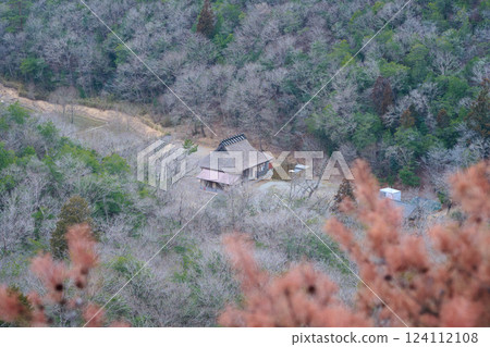 A building with a thatched roof 124112108