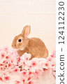 兔子和櫻花 124112230