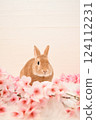 兔子和櫻花 124112231