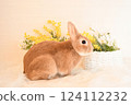 兔子和黃色的花 124112232