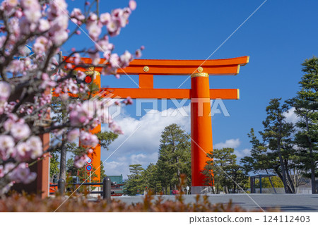 京都之春：平安神宮的大鳥居與梅花 124112403