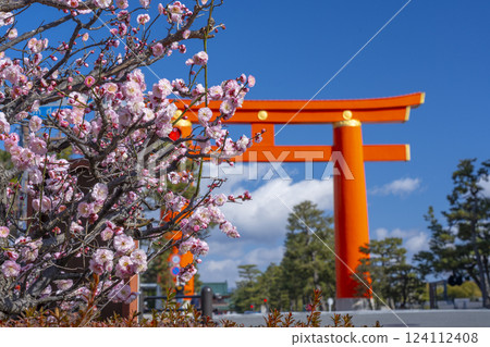 京都之春:平安神宮的大鳥居與梅花 京都之春:平安神宮的大鳥居與梅花 124112408