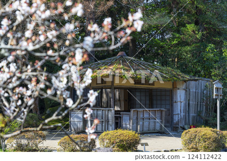 Kyoto Heian Shrine Garden Teahouse Plum Blossoms 124112422