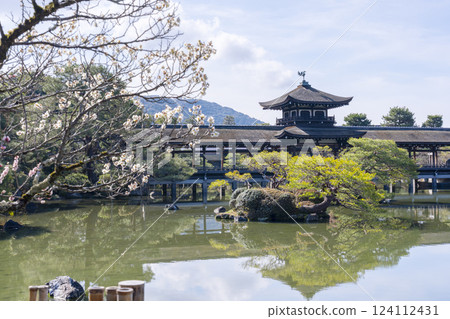Taiheikaku and plum blossoms at Heian Shrine in Kyoto 124112431