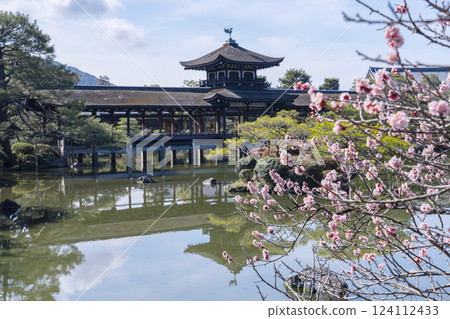 Taiheikaku and plum blossoms at Heian Shrine in Kyoto Taiheikaku and plum blossoms at Heian Shrine in Kyoto 124112433