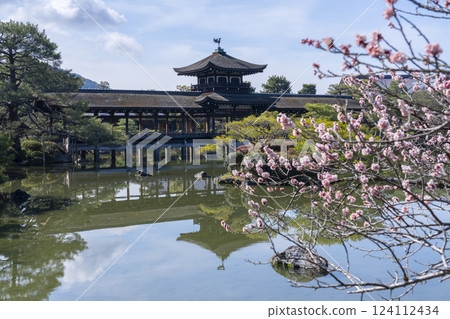 Taiheikaku and plum blossoms at Heian Shrine in Kyoto 124112434
