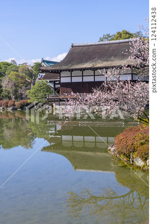 京都平安神宮花園松美館和梅花 124112438