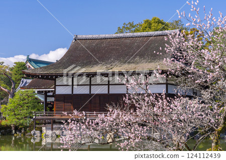 Kyoto Heian Shrine Gardens Shobikan and plum blossoms 124112439