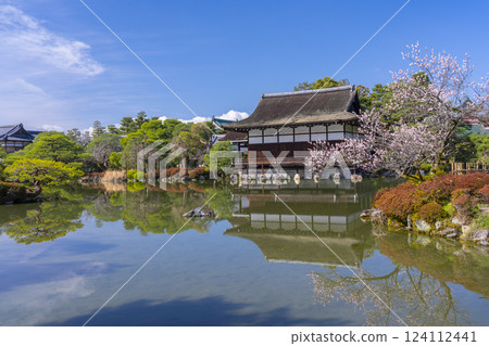 京都平安神宮花園松美館和梅花 124112441