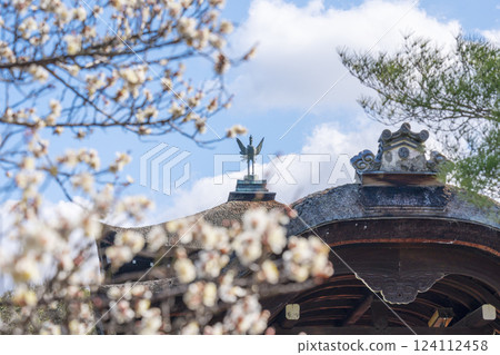 京都平安神宮的太平閣與梅花 124112458