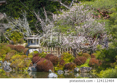 京都平安神宮花園、西寶池和梅花 124112464