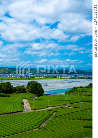 Natural tea fields ⑯ 124112731