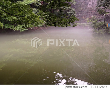 a summer mist 124112854