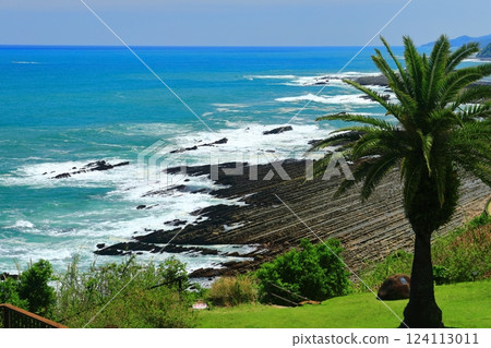 [Miyazaki Prefecture] Sunny Nichinan Coast (Devil's Sentakuita) 124113011