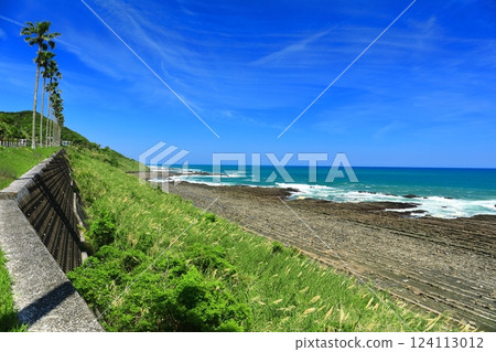 [Miyazaki Prefecture] Sunny Nichinan Coast (Devil's Sentakuita) 124113012