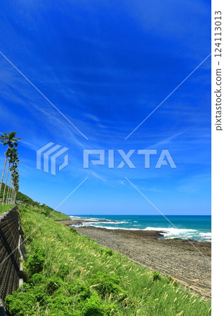 [宮崎縣]陽光明媚的日南海岸（魔鬼的搓衣板） 124113013