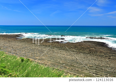 [Miyazaki Prefecture] Sunny Nichinan Coast (Devil's Sentakuita) 124113016