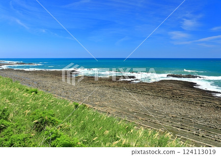 [Miyazaki Prefecture] Sunny Nichinan Coast (Devil's Sentakuita) 124113019