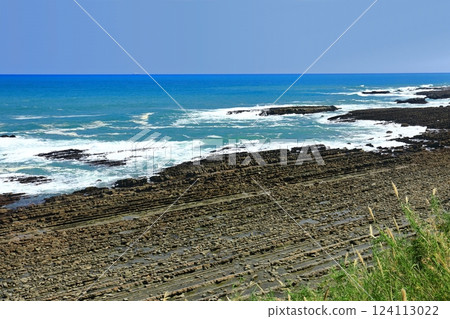 [Miyazaki Prefecture] Sunny Nichinan Coast (Devil's Sentakuita) 124113022