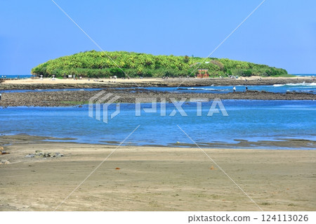 [Miyazaki Prefecture] Clear skies on Aoshima (Devil's Washboard) 124113026