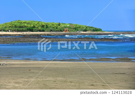 [Miyazaki Prefecture] Clear skies on Aoshima (Devil's Washboard) 124113028
