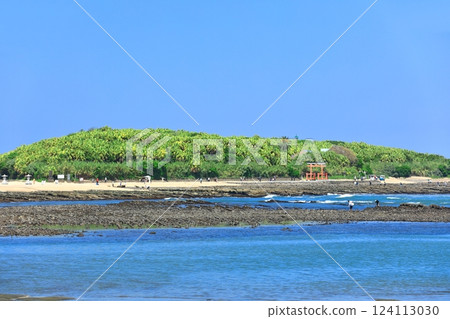 [Miyazaki Prefecture] Clear skies on Aoshima (Devil's Washboard) 124113030