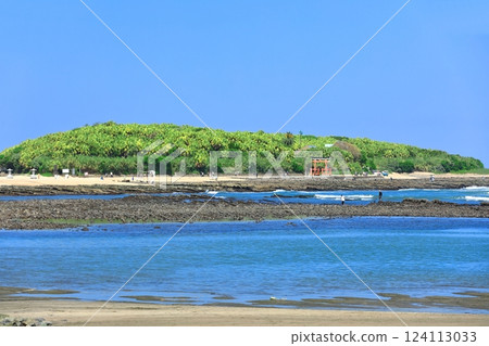 [Miyazaki Prefecture] Clear skies on Aoshima (Devil's Washboard) 124113033